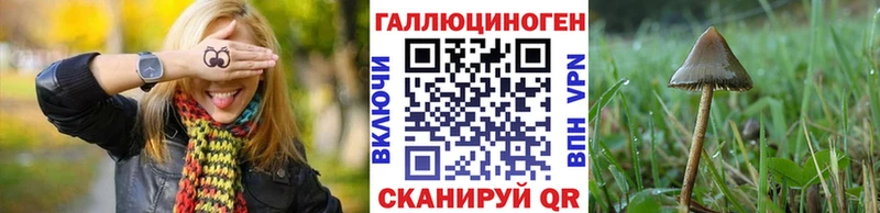 Псилоцибиновые грибы ЛСД  Купить закладки  Алексин 